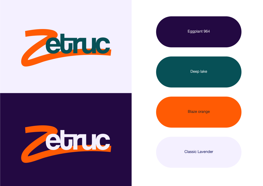 charte graphique Zetruc palette couleurs et règles graphiques